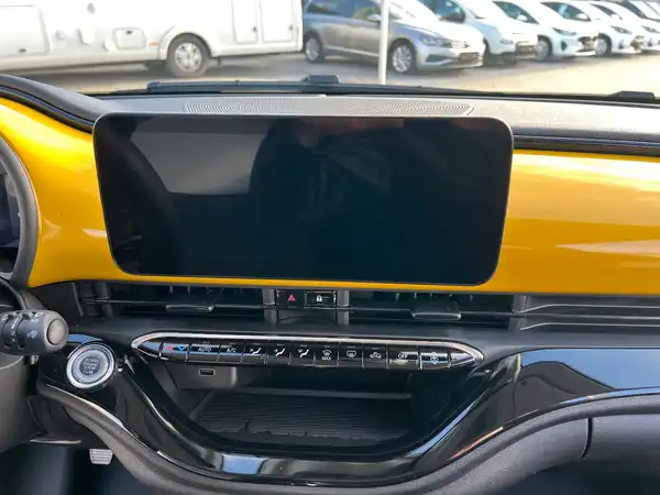 FIAT 500 (18/20)