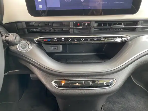 FIAT 500 (12/18)