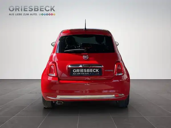 FIAT 500 (4/19)