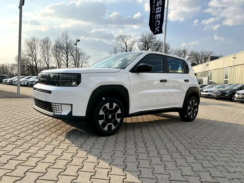 FIAT GRANDE (1/27)