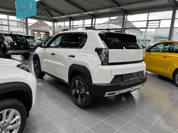 FIAT GRANDE (2/26)