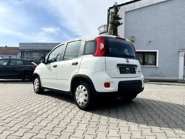 FIAT NEW (2/25)