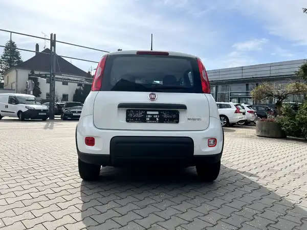 FIAT NEW (3/25)