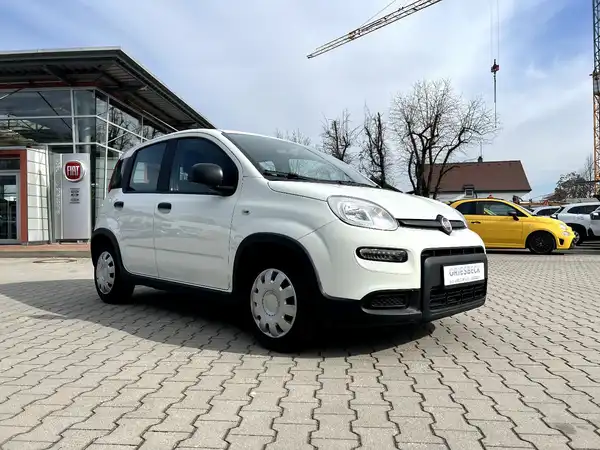 FIAT NEW (5/25)