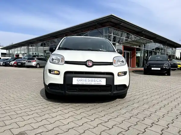 FIAT NEW (6/25)