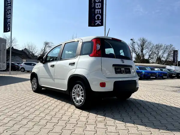 FIAT NEW (2/24)