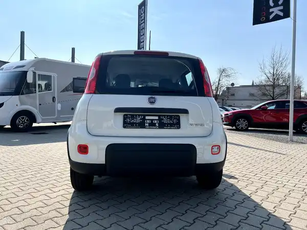 FIAT NEW (3/24)
