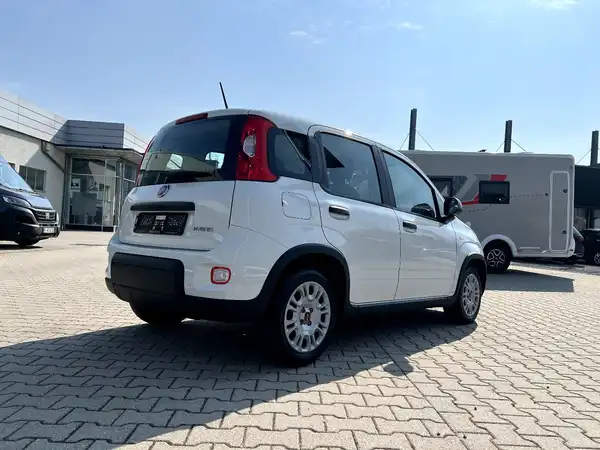 FIAT NEW (4/24)