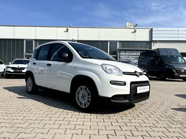 FIAT NEW (5/24)