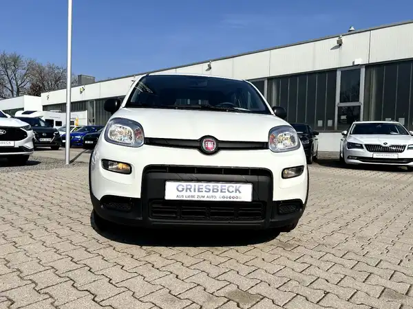 FIAT NEW (6/24)