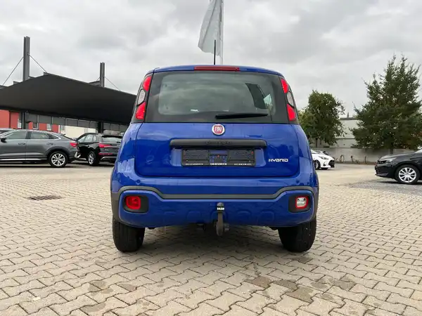 FIAT NEW (3/23)