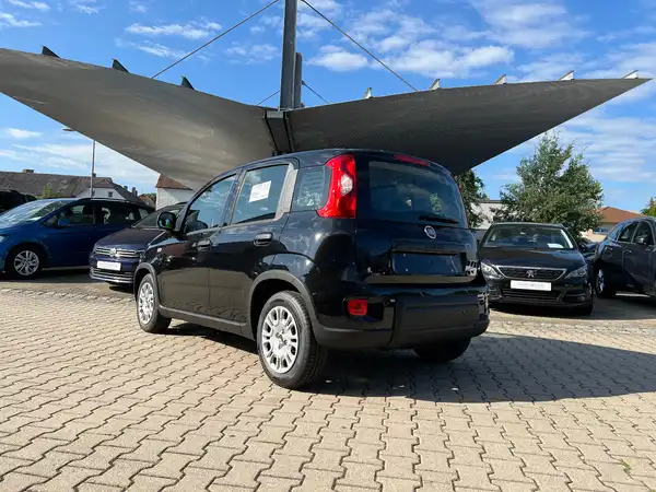 FIAT PANDA (2/25)