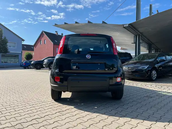 FIAT PANDA (3/25)