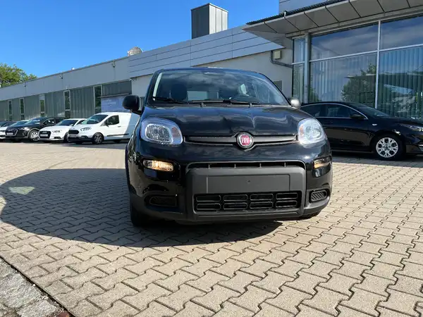 FIAT PANDA (6/25)