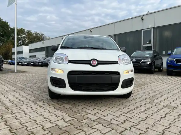 FIAT PANDA (6/25)
