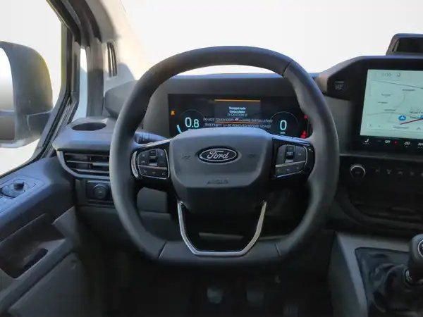 FORD CUSTOM (10/17)