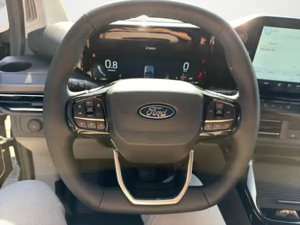 FORD CUSTOM (10/13)