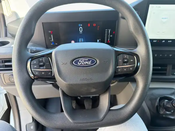 FORD CUSTOM (10/15)