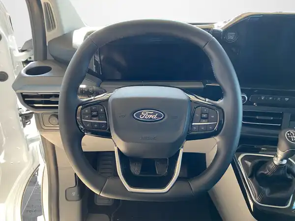 FORD CUSTOM (10/19)