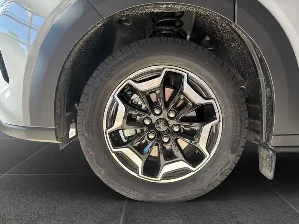 FORD CUSTOM (14/18)
