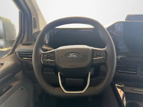 FORD CUSTOM (10/18)