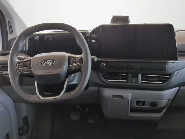 FORD CUSTOM (7/18)