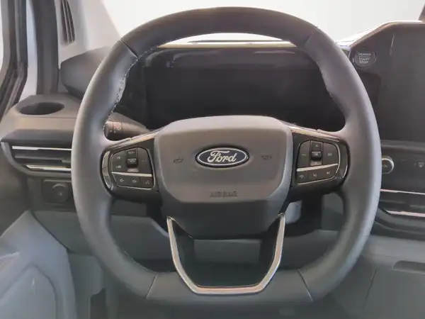 FORD CUSTOM (9/18)