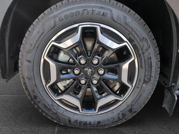 FORD CUSTOM (15/19)