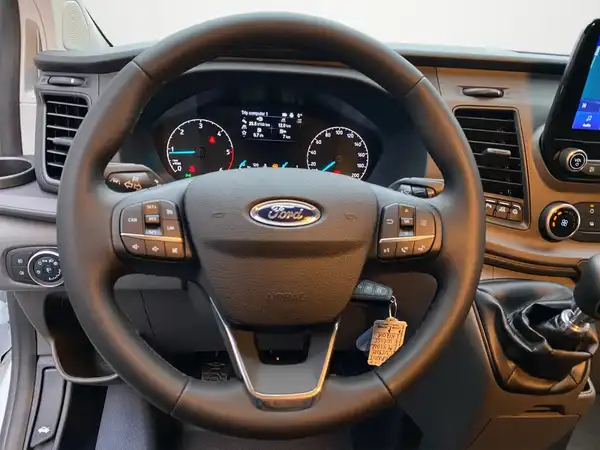 FORD CUSTOM (9/20)