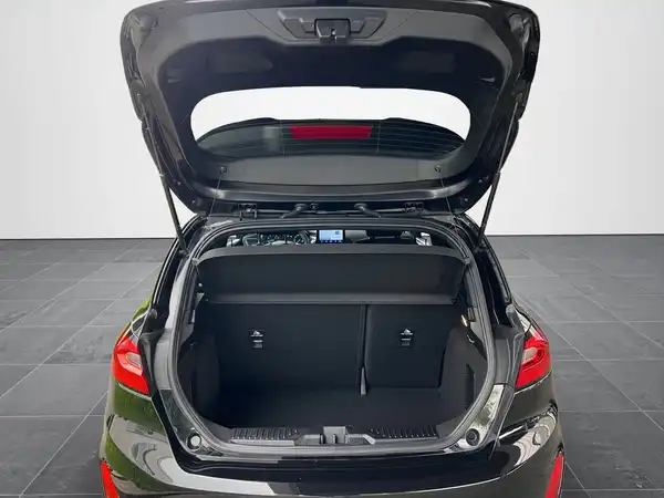 FORD FIESTA (14/19)