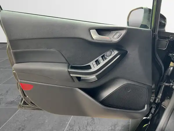 FORD FIESTA (17/19)