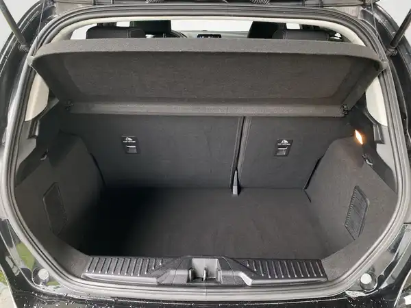 FORD FIESTA (14/19)