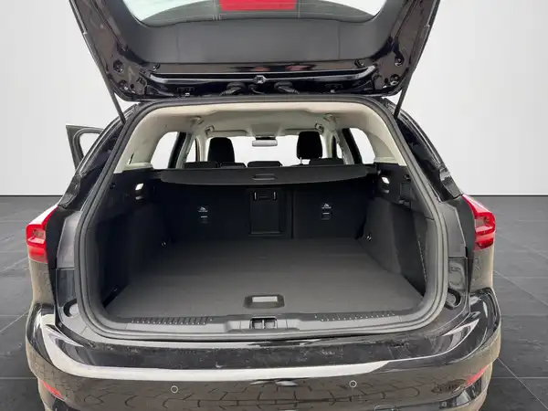 FORD FOCUS (14/19)