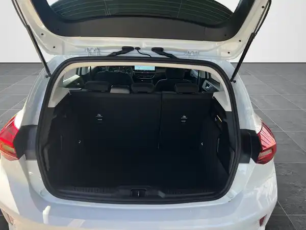FORD FOCUS (14/18)