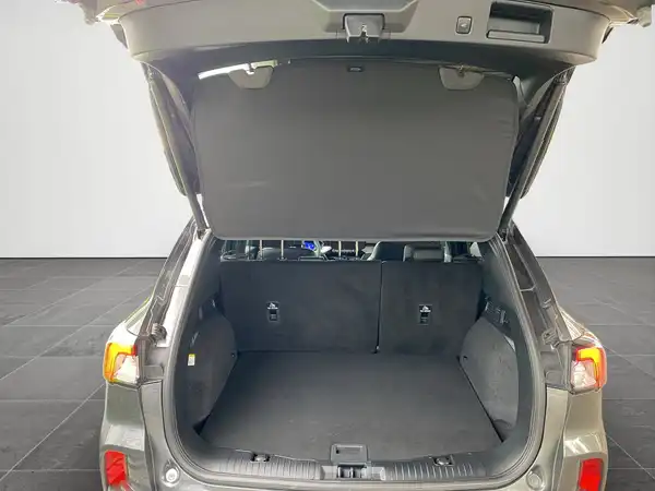 FORD KUGA (15/20)
