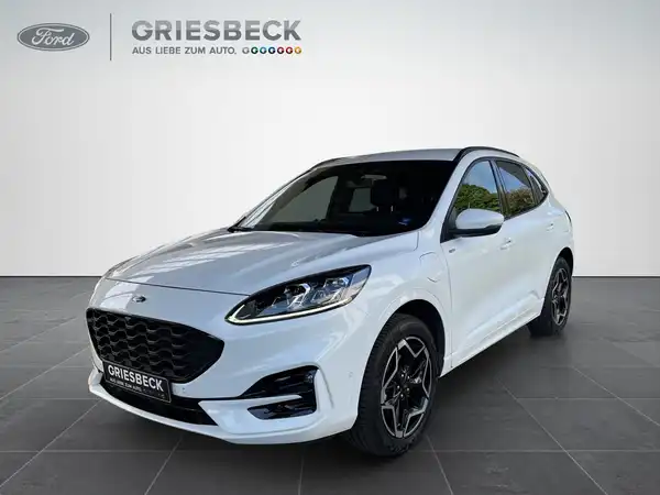 FORD KUGA (1/19)