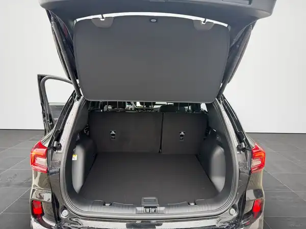 FORD KUGA (14/19)