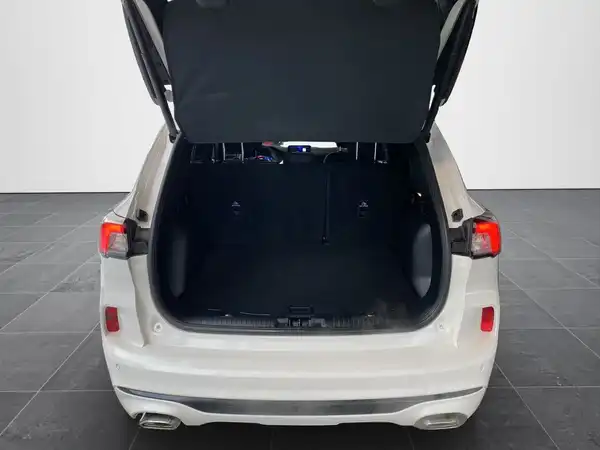 FORD KUGA (14/21)