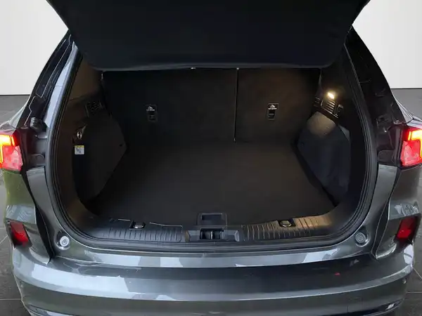 FORD KUGA (13/21)