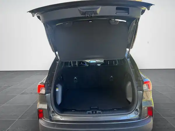 FORD KUGA (14/20)