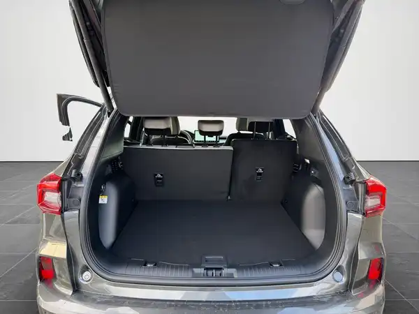 FORD KUGA (14/20)