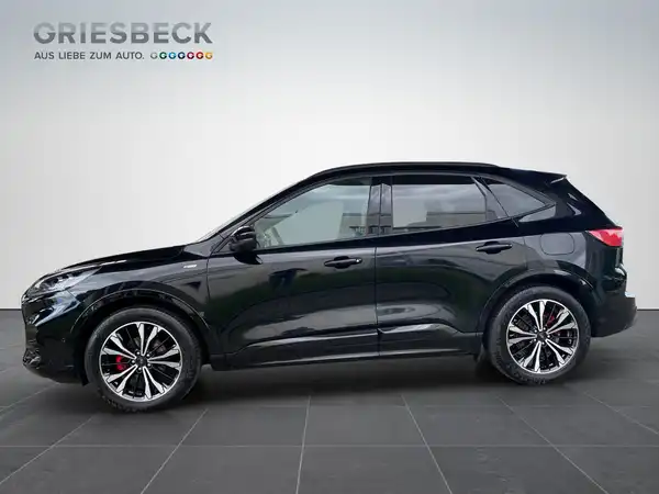 FORD KUGA (2/19)