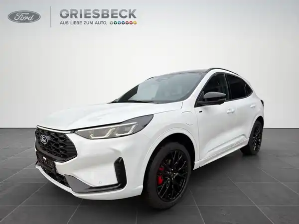 FORD KUGA (1/19)