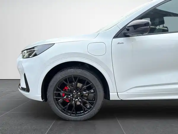 FORD KUGA (15/19)