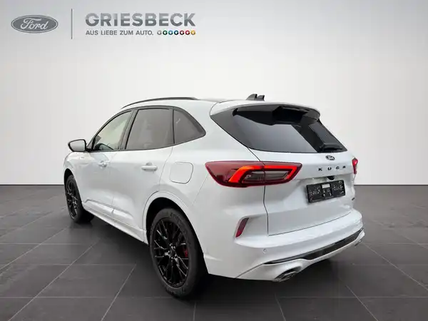 FORD KUGA (3/19)