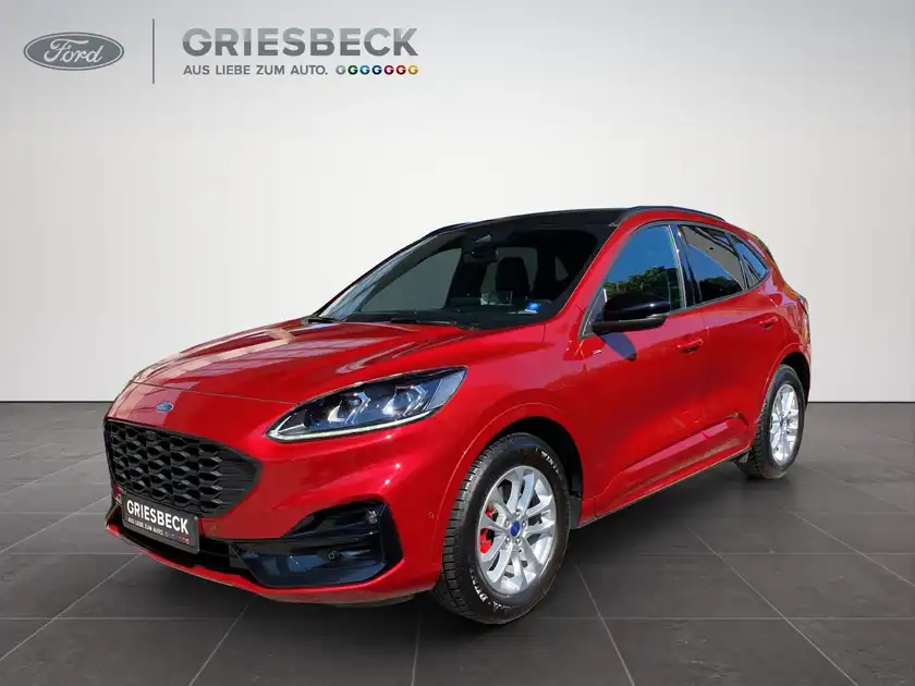FORD KUGA (1/19)