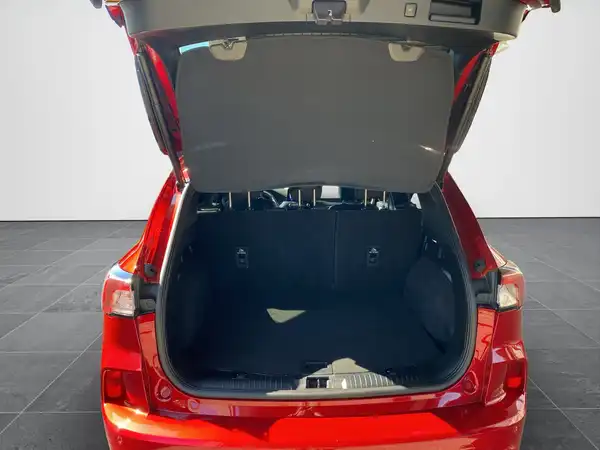 FORD KUGA (14/19)