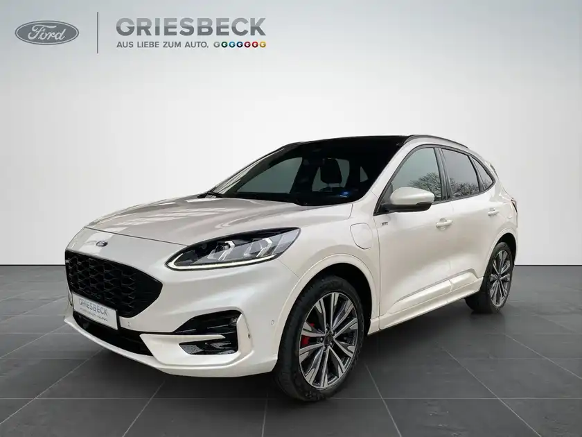 FORD KUGA (1/22)