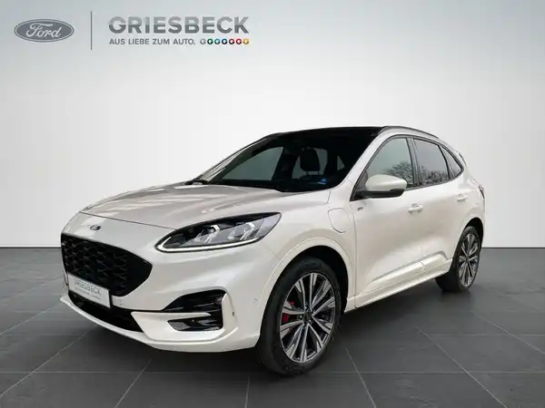 FORD KUGA (1/22)