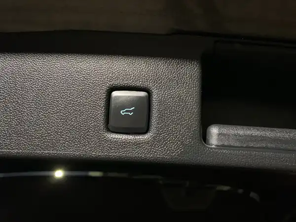 FORD KUGA (22/22)